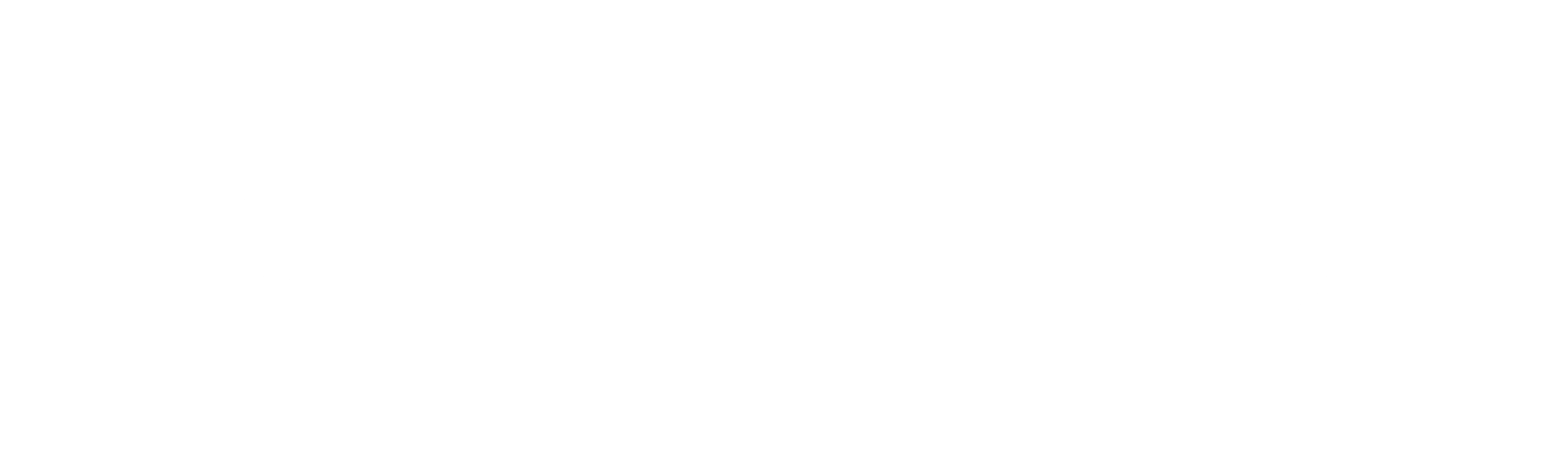 Part of the Brown & Brown Team logo white